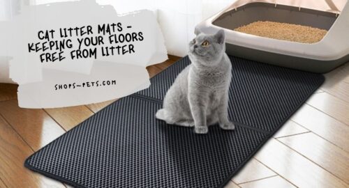 Cat Litter Mats - Keeping Your Floors Free From Litter