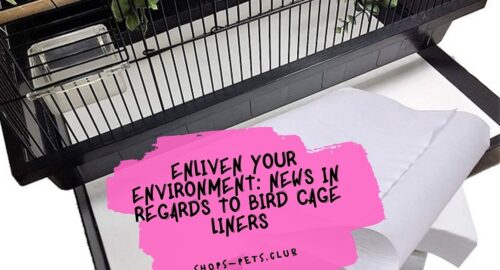 Enliven Your Environment News in Regards to Bird Cage Liners