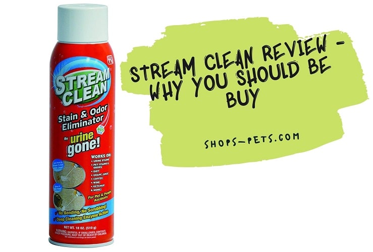 Stream Clean Review - Why you Should Be Buy