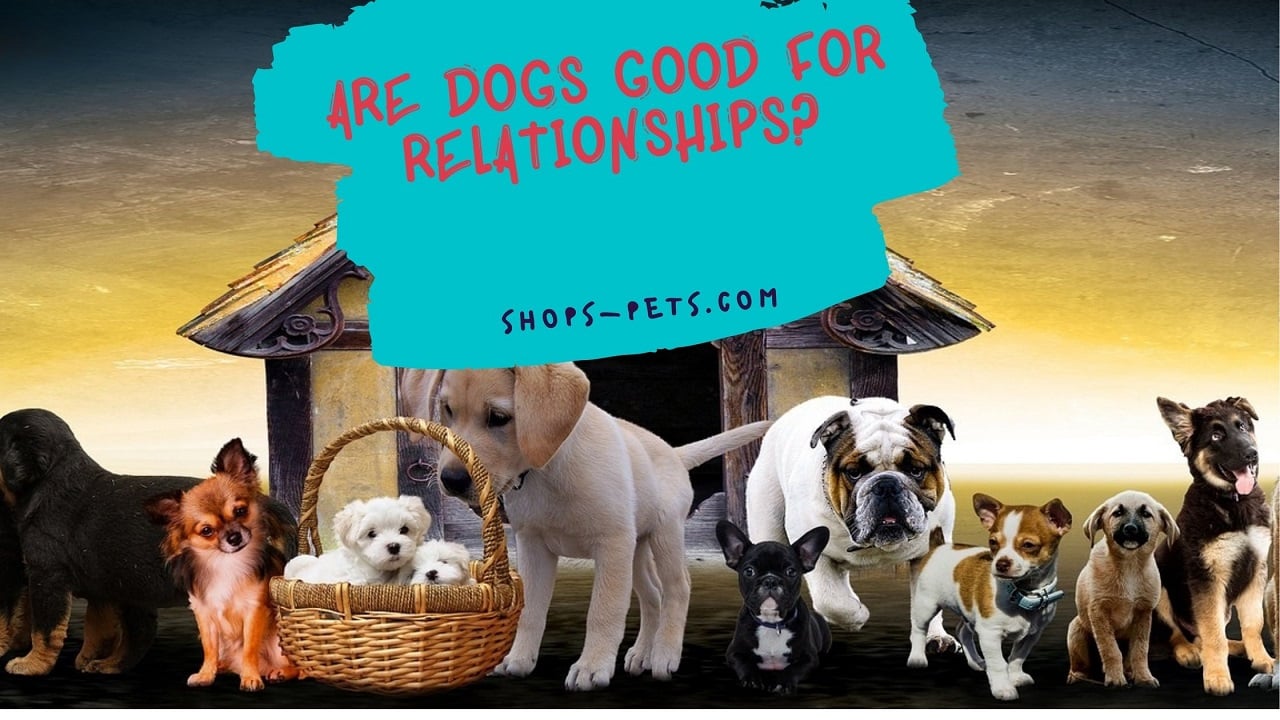 Are Dogs Good for Relationships