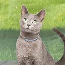 Seresto collars for cats pros and cons