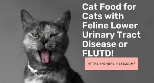 Cat Food for Cats with Feline Lower Urinary Tract Disease or FLUTD!