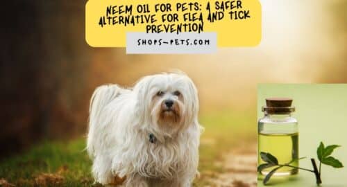 Neem Oil for Pets A Safer Alternative for Flea and Tick Prevention